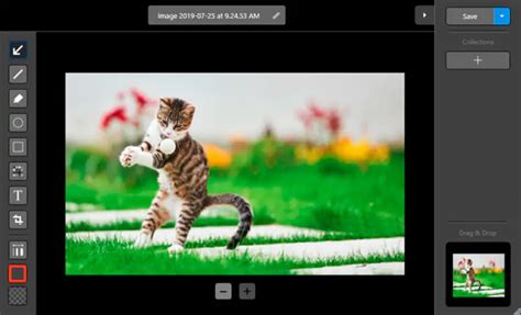 Image result for Capture Internet Video