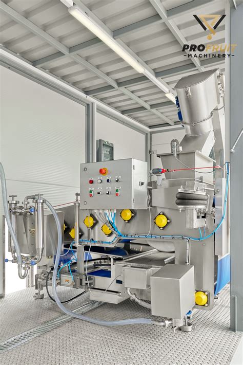 Process Fruit 的图像结果