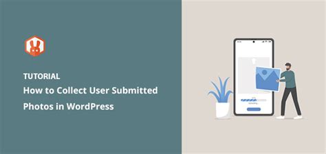 Submitted Phots 的图像结果