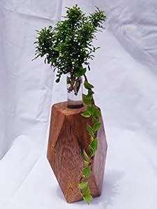 Wood & Nail Test Tube Planter with Wooden Holder, Table Top Mango Wood ...