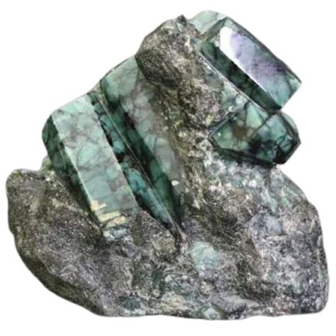 Image result for Emerald Back Python