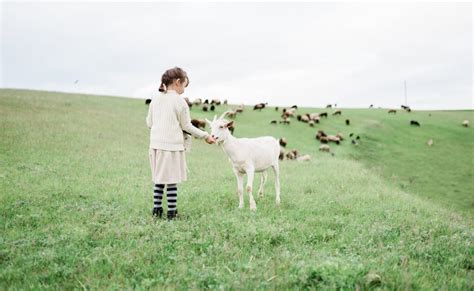 Agroturismo: ¿qué es esta nueva forma de vivir la naturaleza?