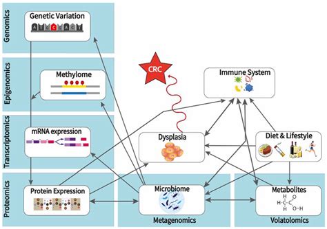 Colon Cancer: From Epidemiology to Prevention