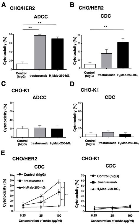 Anti-HER2 Cancer-Specific mAb, H2Mab-250-hG1, Possesses Higher ...