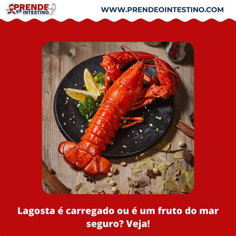 What Does Lagosta Mean In Portuguese? – TASEAL