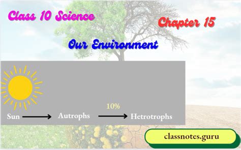 Image result for Class 10 Science Chapter 15 Notes