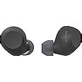 Sony WF-C710NSA | Dual Noise Cancellation Wireless Bluetooth in Ear ...