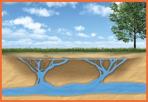 Whales English RHG3B Quicksand 2 | Baamboozle - Baamboozle | The Most Fun Classroom Games!
