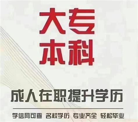 简约成人学历提升成人教育招生宣传海报图片_海报_编号11911765_红动中国