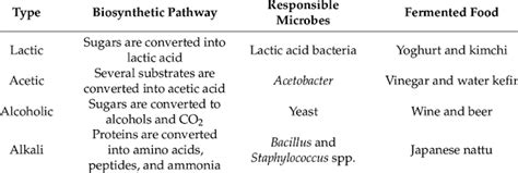 What is Microbial Fermentation and How It Works with 10 + Examples ...