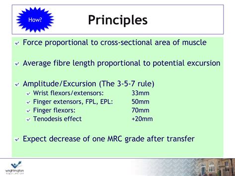 Tendon transfers in hand | PPTX