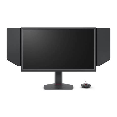 Buy BenQ Zowie XL2546X 25 Inch Gaming Monitor