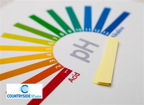 Image result for Why Is Java Using in Ph