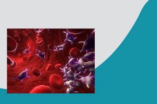 IMMUNOHISTOCHEMISTRY: HBME-1 - TrueMedix