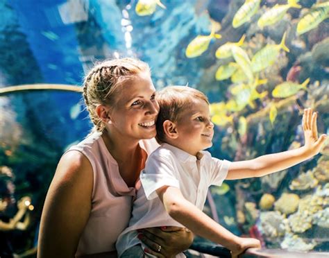 Japan Tokyo Tower 的图像结果