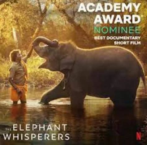 Netflix's short Indian documentary "The Elephant Whisperers" won an ...