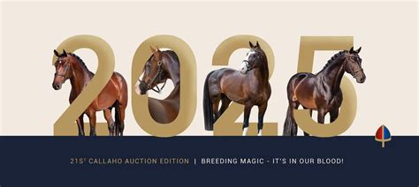 Callahos 21st Edition - The Live and Online Auction, Kyalami Park ...