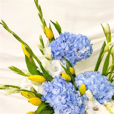 Cloudy Garden Tulips – Simply Phoolish