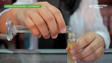 Water Extraction Methods 的图像结果