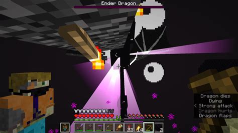 Killed the Dragon With My First Wooden Pick : r/Minecraft_Survival