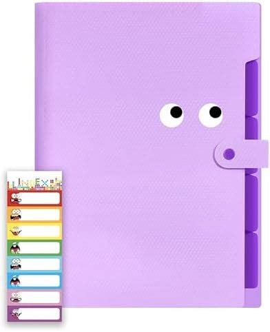 NISUN 5 Pocket Expanding File Folder with Fun Sticky Labels, Letter ...