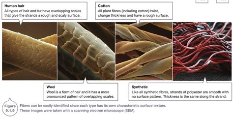 Image result for Forensic Science Test Questions