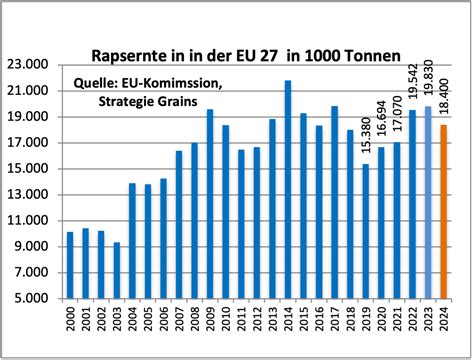 Rapspreise mächtig unter Druck – Rapsernte 2024 schrumpft drastisch ...