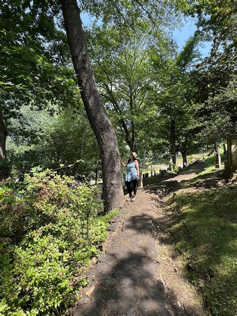 July Outdoor Mindfulness Walk at Oak Hill Cemetery, The Oak Hill ...