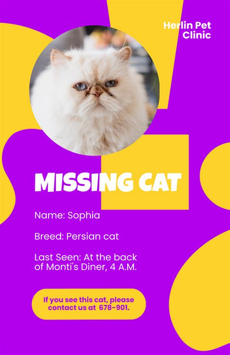 Lost Cat Flyer Template Free Printable