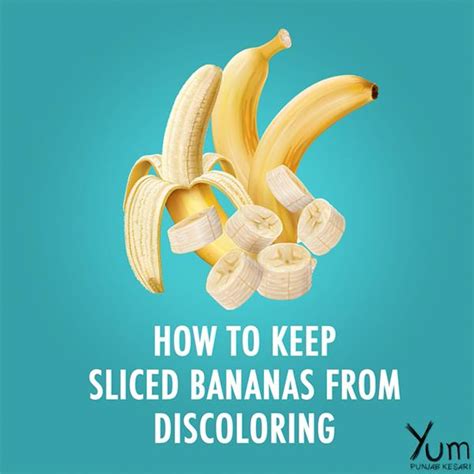 Yumrecipe | Veg NonVeg Recipes Videos with Ingredients & Instruction