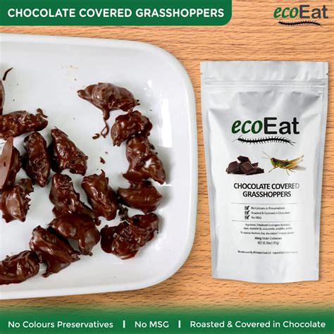 Edible Chocolate Covered Grasshoppers