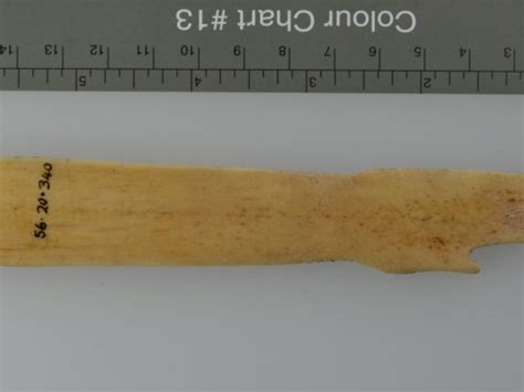 Clapper History 的图像结果