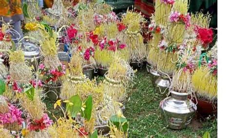 Mulaipari procession at Nadiyamman temple | நாடியம்மன் கோவிலில் ...