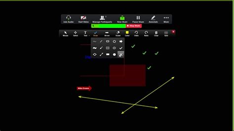 Image result for How to Use Zoom Controls