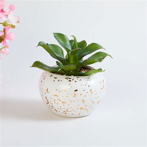 Buy Eternity Artificial Plant in Ceramic Pot from Home Centre at just ...
