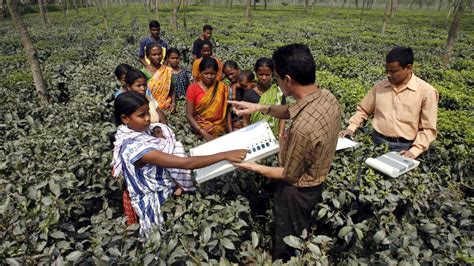 The Wire: The Wire News India, Latest News,News from India, Politics ...