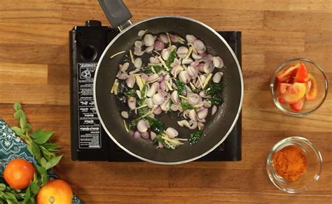 Easy Science Model Project 的图像结果