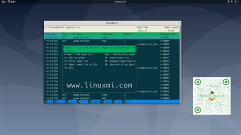 Image result for Procmon Windows