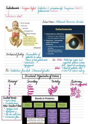 Gynae Images For Neet - Mbbs - Gynae images Endometrial biopsy in ...