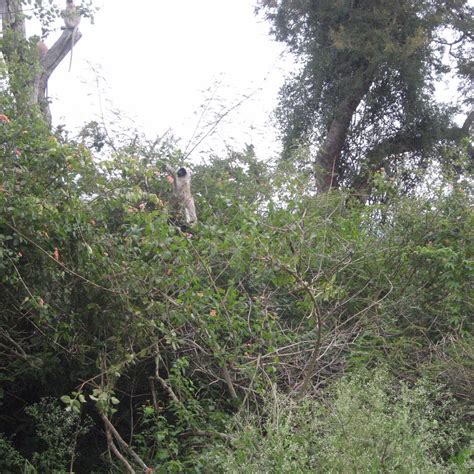 MOYAR RIVER (2025) All You Need to Know BEFORE You Go (with Photos ...