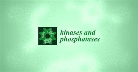 Kinases and Phosphatases | An Open Access Journal from MDPI