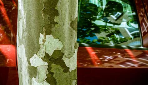 Image result for Multiple Exposure Modes Explained