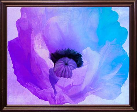 Frame USA Poppy Gradient IV Framed Print 13.5"x17" by Color Bakery ...