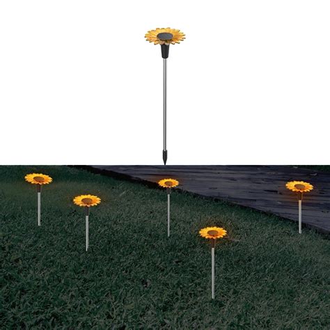 Solar Pathway Lights:Illuminate Your outdoor Garden pathways – Hardoll