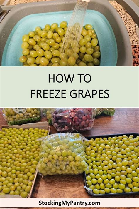 How to Freeze Grapes - Stocking My Pantry