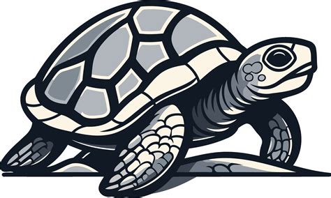 Image result for Turtle Graphics Art