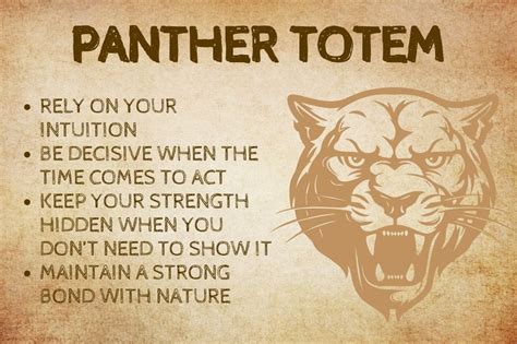 Panther Spirit Animal: What Does a Panther Symbolize?