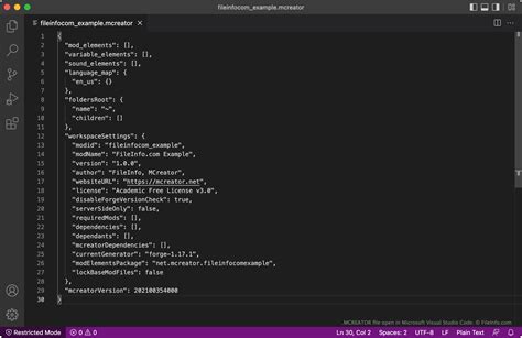 Image result for Writing Custom Java Code in MCreator