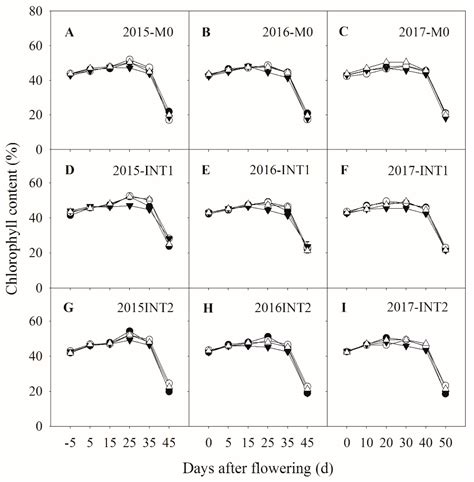 Analysis of Grain Yield Differences Among Soybean Cultivars under Maize ...