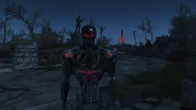 Image result for Fallout 4 Terminator Mod